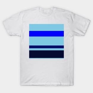 A singular combo of Sky Blue, Primary Blue, Darkblue and Cetacean Blue stripes. T-Shirt